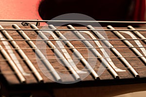 Guitar Z Inlays photo