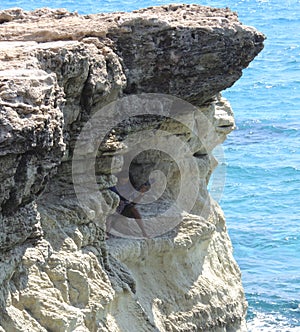 Guitarist playing guitar in the rock