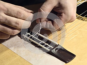 Guitars Luthiers sets the strings on a guitar.