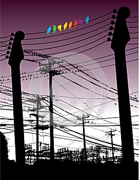 Guitars and wires with birds