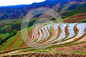 Guizhou Longji terrace