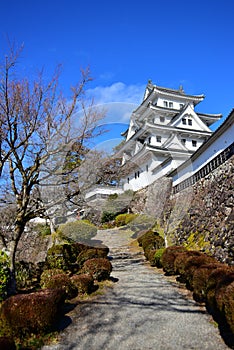 Gujo Hachiman Castle built in 1559 on a hilltop in Japan