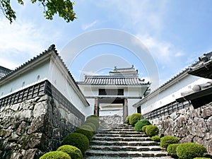 Gujo hachiman castle