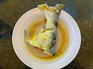 Malaysia River Fish Pangasius Sutchi. Malaysia traditional food known as & x22;Ikan Patin Tempoyak& x22; photo