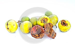 Gular or Indian Clustar Fig isolated on white.
