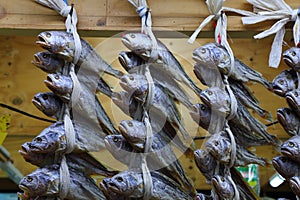 Gulbi dried fish in Noryangjin Fish Market photo