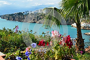 The Gulf of Antalya and emerald Mediterranean Sea behind the flowers