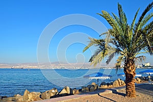 Gulf of Aqaba photo