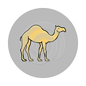 Gulf camel Isolated Vector icon that can be easily modified or edited