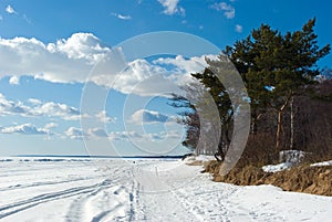 The Gulf of Finland coast in early spring