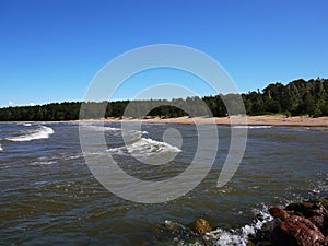 Gulf of Finland coast. Pine forest and beach on the North sea coast.