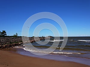 Gulf of Finland coast. Pine forest and beach on the North sea coast.