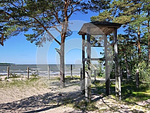 Gulf of Finland coast. Pine forest and beach on the North sea coast.