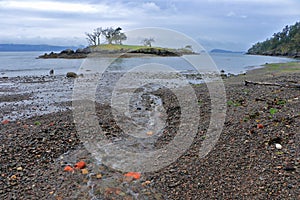 Gulf Islands National Park with Shingle Bay on Rainy Day, North Pender Island, British Columbia, Canada