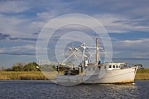 Gulf Shrimper