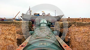 Gull on a Cannon in Harbor scala Essaouira Morocco