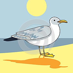 Gull flight bird and seabird gull. ÃÂ¡artoon looking gull. photo