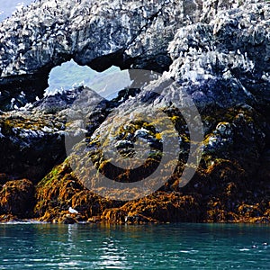 Gull Island (Kachemak Bay, Alaska) photo