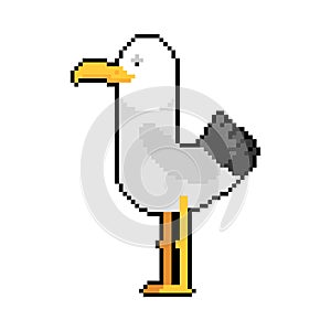 Gull pixel art. seagull 8 bit. Sea bird pixelated vector illustration