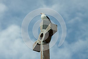 Gull sitting on cross with blue sky and clouds