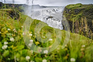 Gullfoss also known as Golden Falls waterfall and green foloage in foreground. Iceland