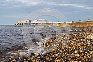 Gulls bob on the sea at Cromer