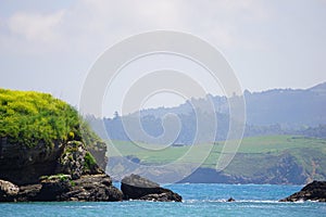 gulls nesting rock near a beach in spain photo