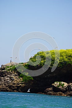 gulls nesting rock near a beach in spain photo