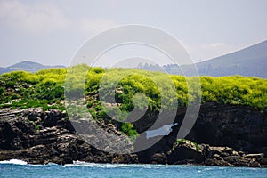 gulls nesting rock near a beach in spain photo