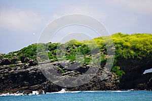 gulls nesting rock near a beach in spain photo