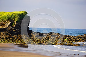 gulls nesting rock near a beach in spain photo