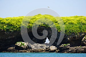 gulls nesting rock near a beach in spain photo