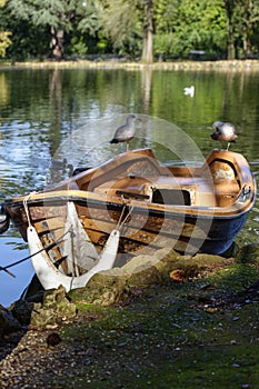 Gulls perched on a boat