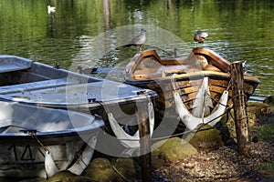 Gulls perched on a boat
