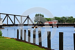 Gulls sit on Wooden Pilings in Front of St. Josephs` Swingbridge