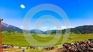 Gulmarg is a town, a hill station, a popular skiing destination and a notified area committee in the Baramulla district of