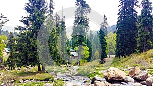 Gulmarg is a town, a hill station, a popular skiing destination and a notified area committee in the Baramulla district of the Ind