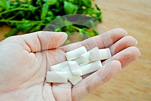 Gum pads in hand against the background of a bunch of fresh mint