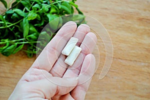 Gum pads in hand against the background of a bunch of fresh mint