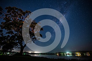 Gum tree, stars, and the Milky Way at the waterfront