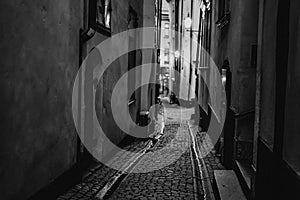 Gumlastan Old Town Alley (Stockholm)