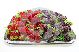 Gummy Fruit Christmas Candy in a Tray