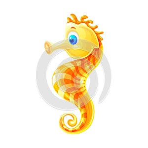 A gummy little seahorse photo