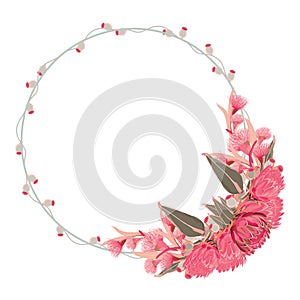 Gumnut Wreath with protea and flowering Eucalyptus Vector