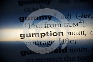 Gumption