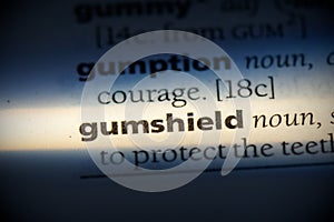 Gumshield