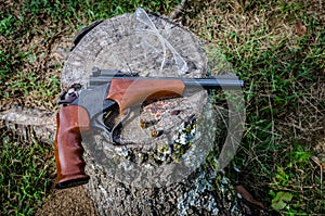Gun, 22 single shot for hunting or target shooting.