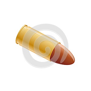 Gun bullet ammo