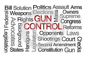 Gun Control Laws Word Cloud