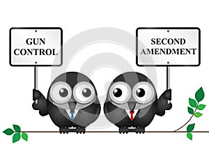 Second Amendment